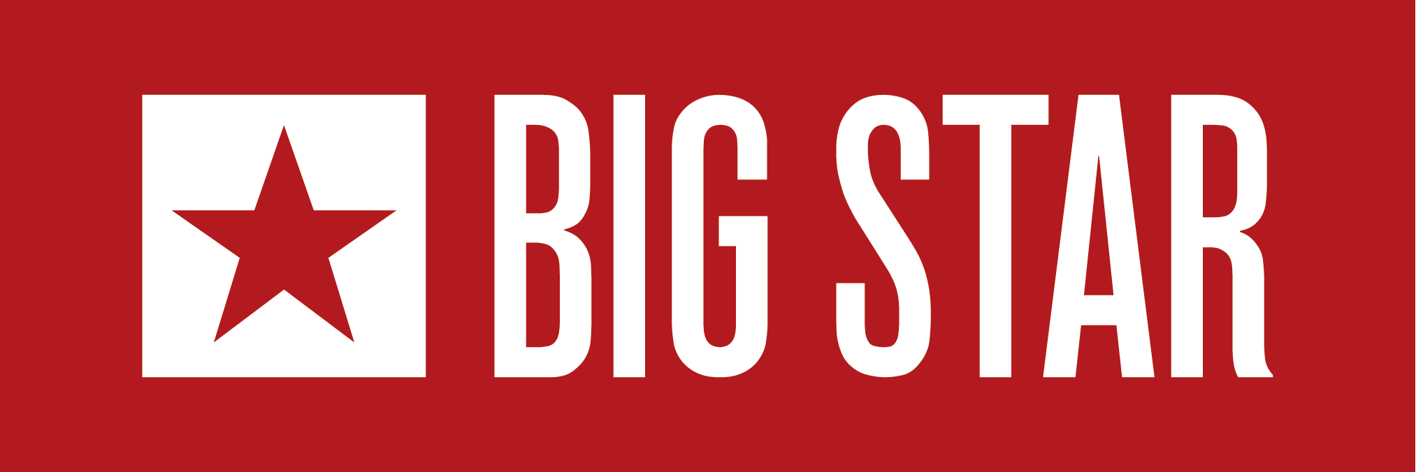 bigstar_logo_poziom